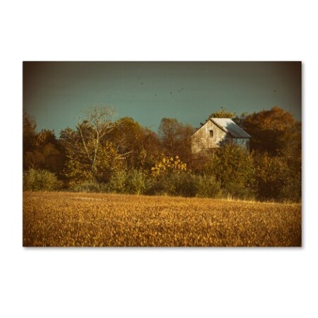 PIPA Fine Art 'Abandoned Barn In The Trees' Canvas Art,16x24